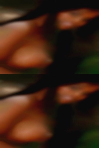 Not vanilla ads at all.